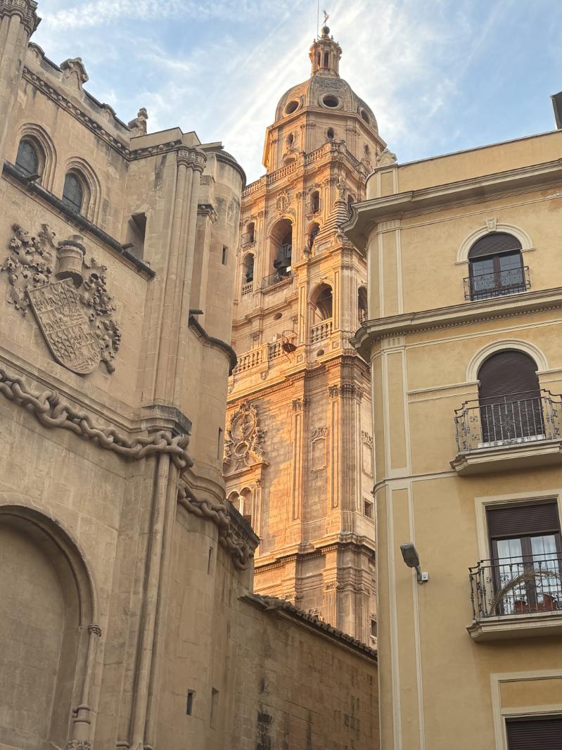 Ryan McGaughey Murcia Placement